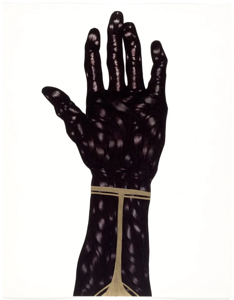 Untitled, by Toyin Ojih Odutola, 2013