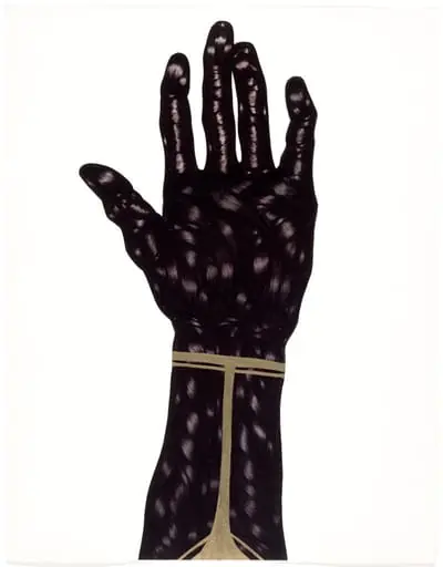 Untitled, by Toyin Ojih Odutola