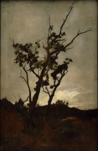 Tree study