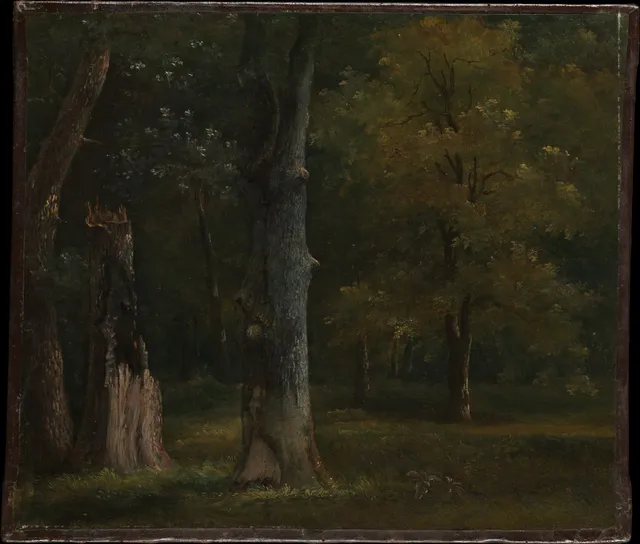 Trees in the Bois de Boulogne, Paris