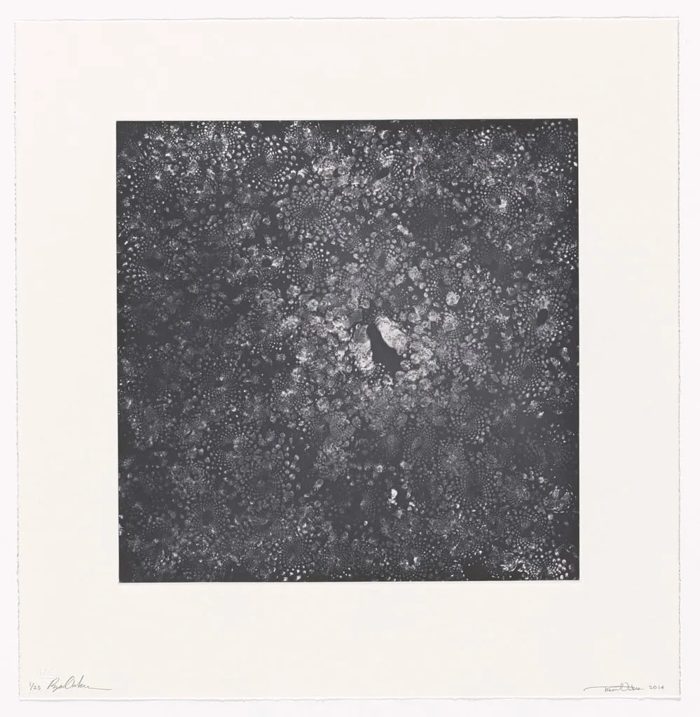Untitled, by Trevor Oakes Ryan Oakes, 2014