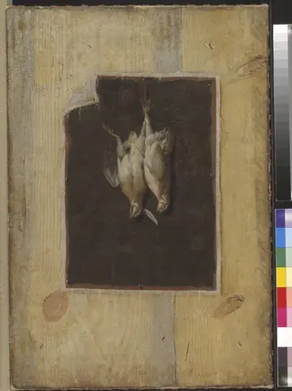 Trompe l'Oeil. Board Partition with a Still Life of Two Dead Birds Hanging on a Wall