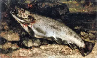 Trout