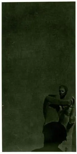 Untitled, by Troy Brauntuch