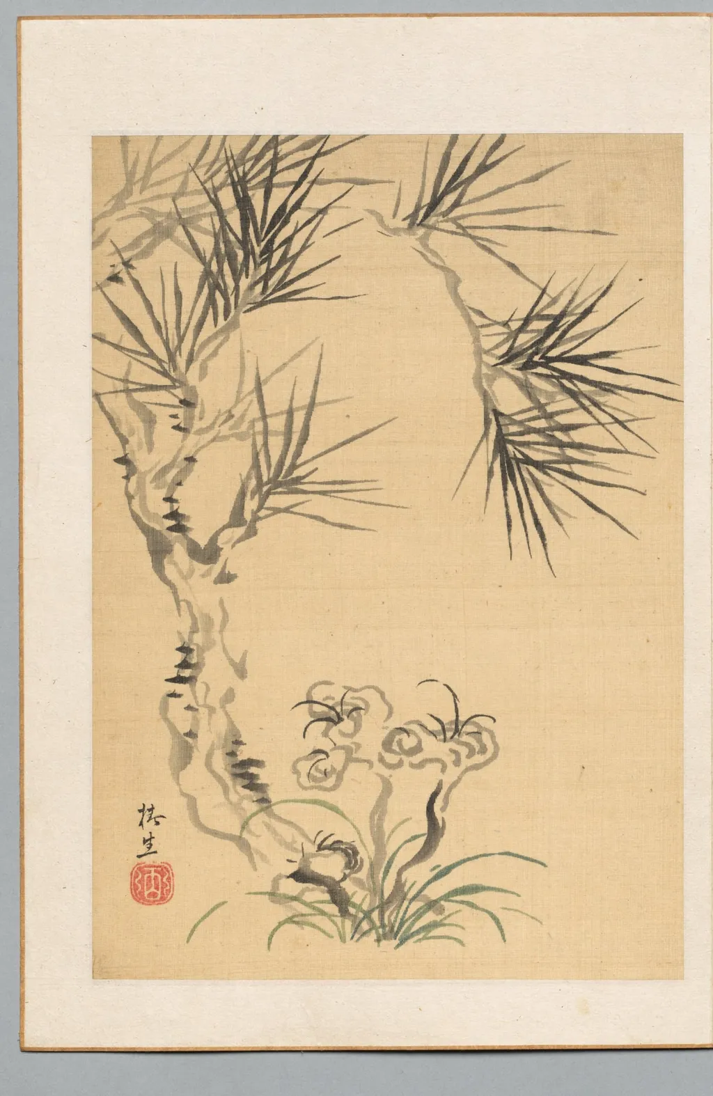 Pine Tree and Fungus, by Tsubaki Chinzan, 1804