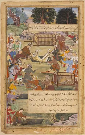 Akbar assists in capturing a cheetah, by Tulsi