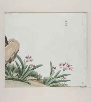 tuo yi jin