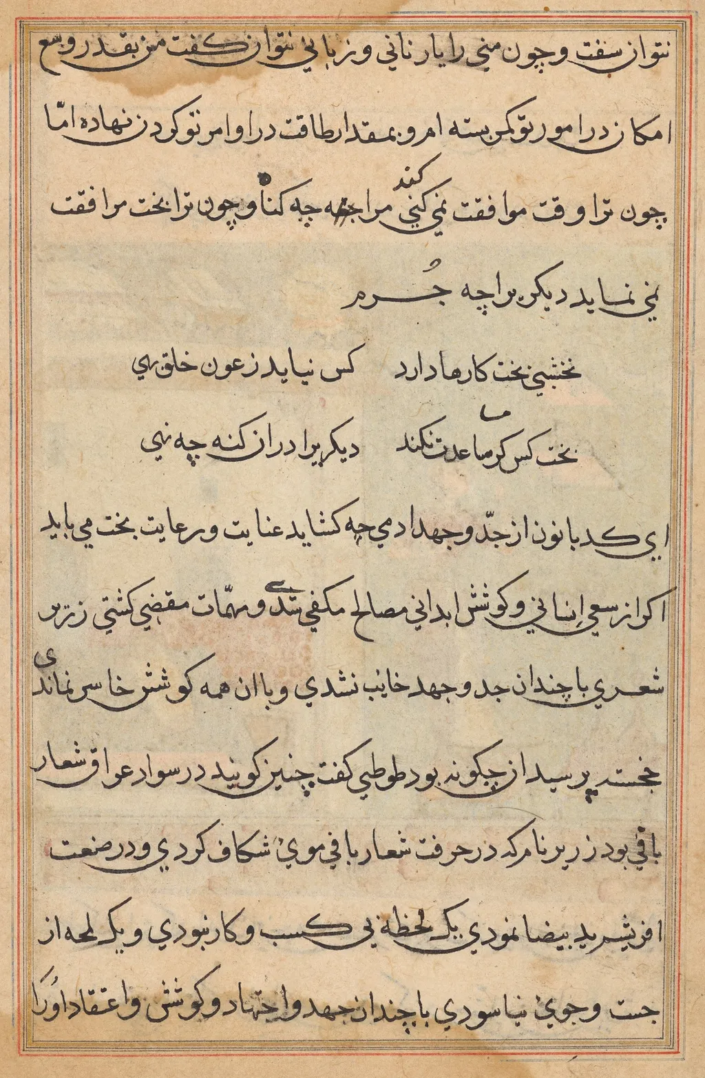 Tuti-Nama (Tales of a Parrot), unspecified, 1560