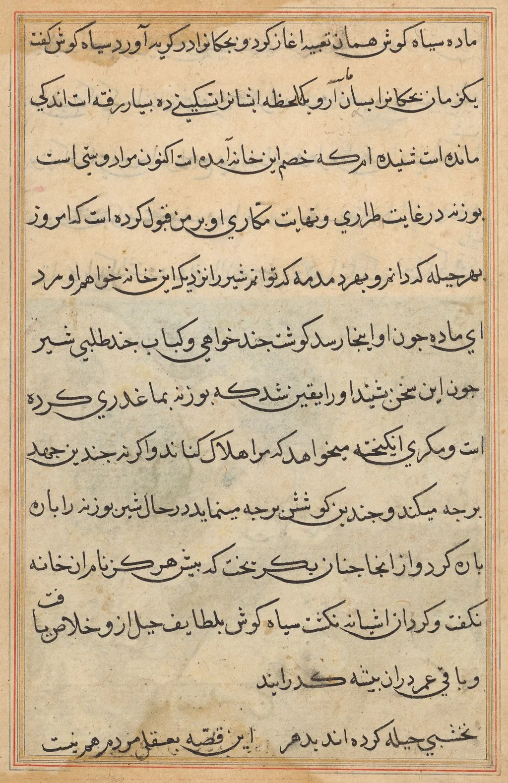 Tuti-Nama (Tales of a Parrot), unspecified, 1560