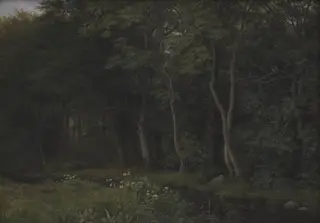 Twilight Setting in a Wood near Iselingen Manor, Zealand