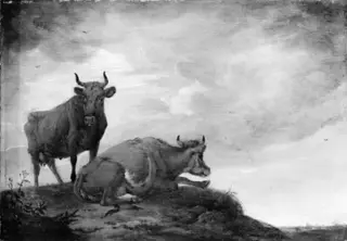Two Cows on a Hill