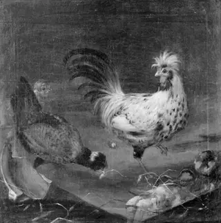 Two Hens and a Cock