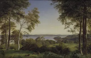 Udsigt over Skarre Sø