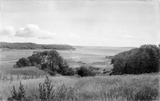Udsigt over Vejle Fjord