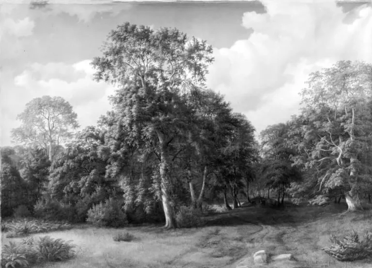 Forest Scenery from Præstevangen near Frederiksborg, by Ulrich von Baudissin, oil, 1846