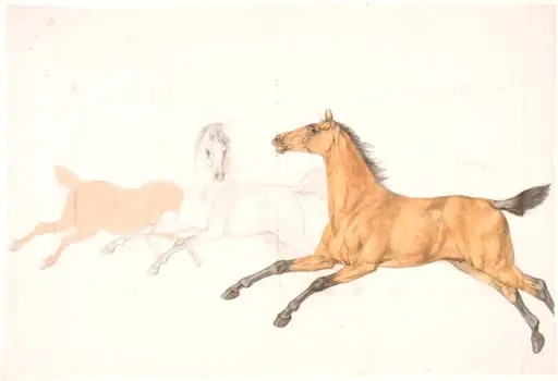 3 løbende heste, by Unknown