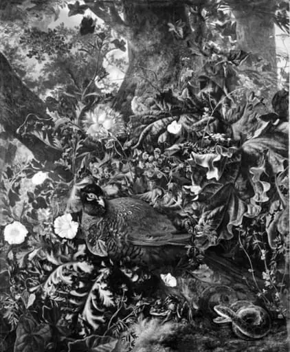 A Brooding Pheasant, by Unknown