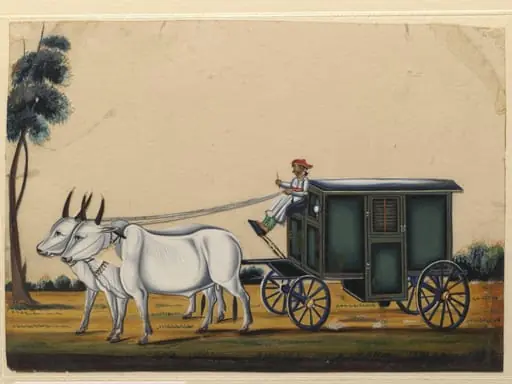 A closed carriage drawn by bullocks, by Unknown