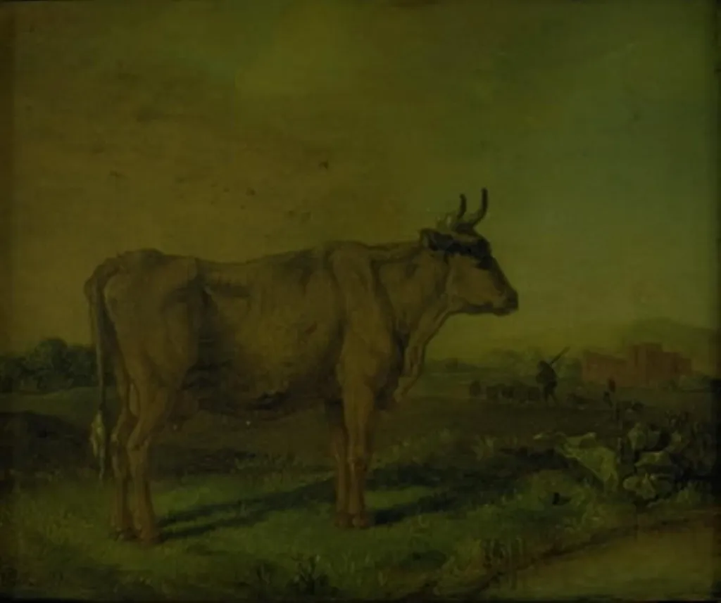 A Cow, by Unknown, 1650