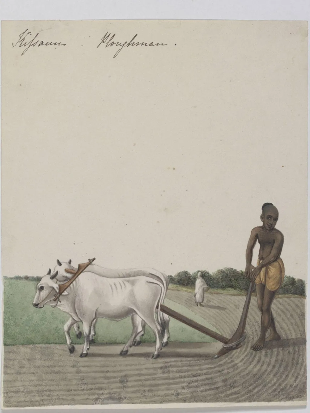 A cultivator, by Unknown, paint, 1826