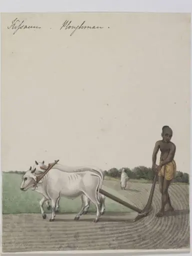 A cultivator, by Unknown