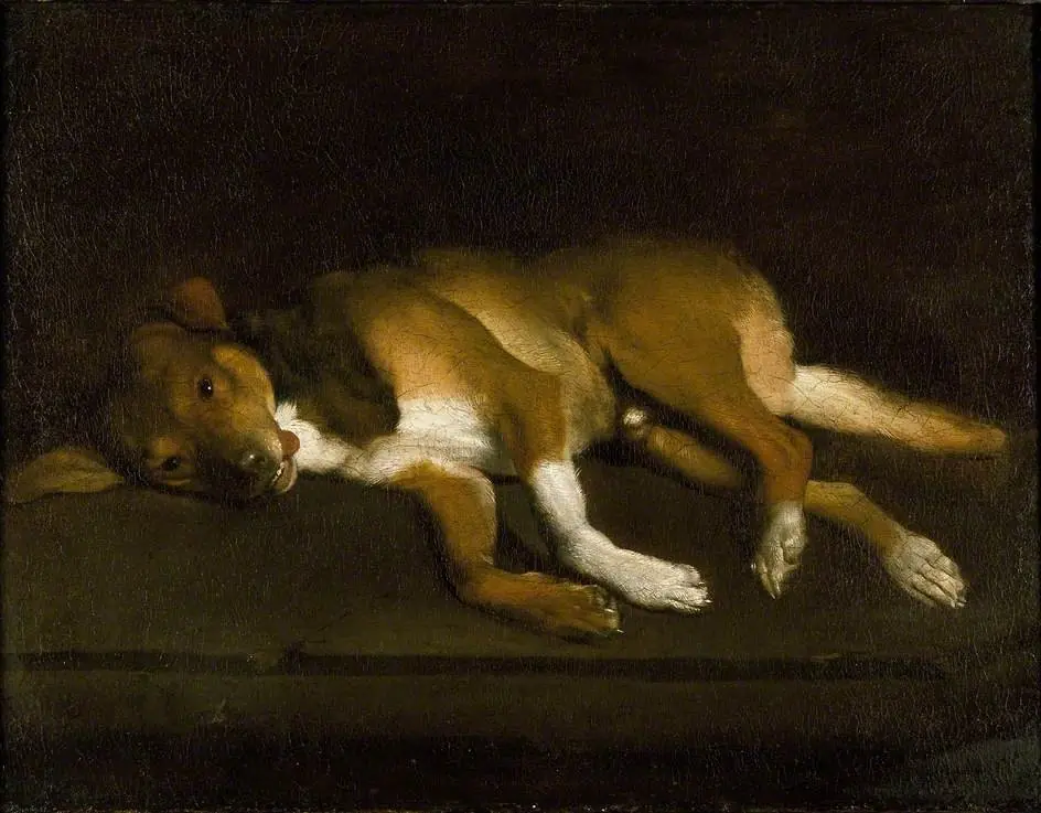 A Dog lying on a Ledge, by Unknown