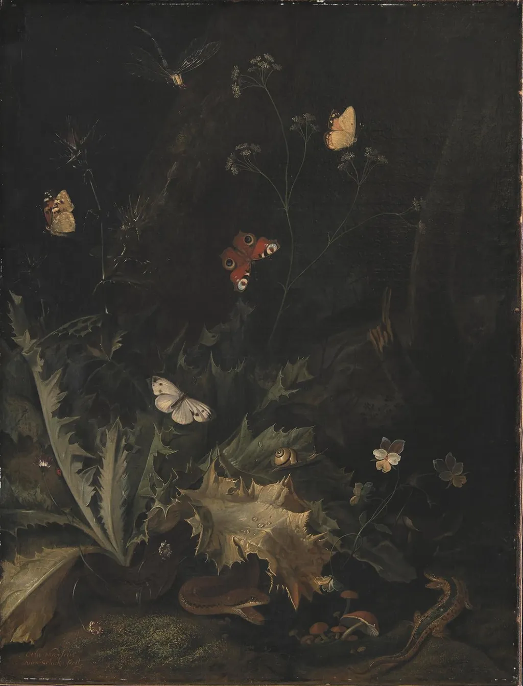 A Forest Floor with a Thistle, a Snake, a Lizard and Butterflies, by Unknown, 1650