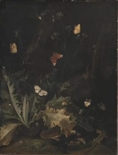 A Forest Floor with a Thistle, a Snake, a Lizard and Butterflies, by Unknown