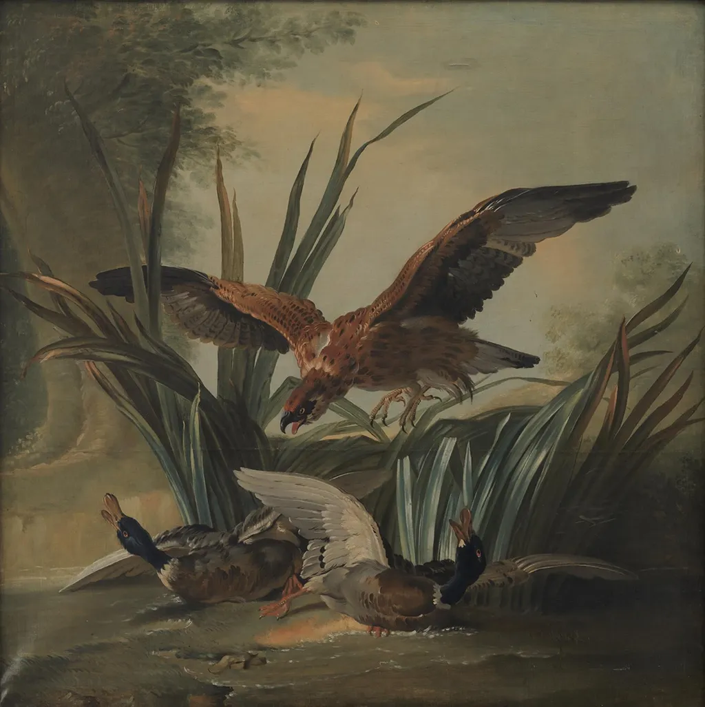 A Hawk Puncing on a Pair of Ducks, by Unknown, 1750