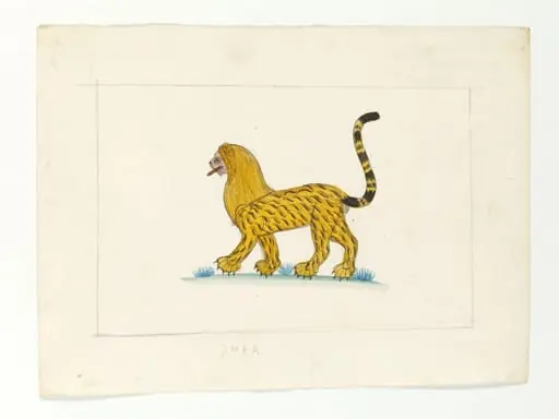 A lion-cum-tiger with a mane, by Unknown