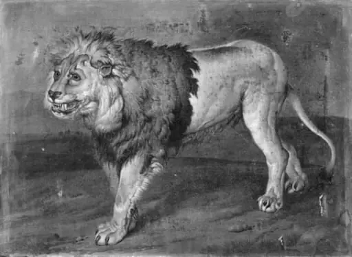A Lion in a Landscape, by Unknown