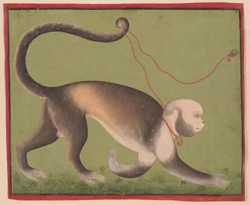 A Monumental Portrait of a Monkey, by Unknown