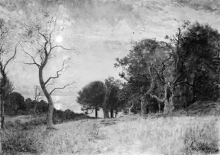 A Moonlit Night by Hallands Väderö, by Unknown, 1889