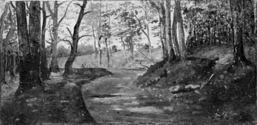 A Path through a Wood, by Unknown