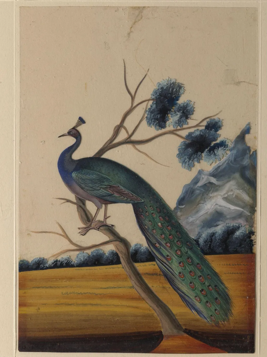 A peacock, by Unknown, paint, 1860