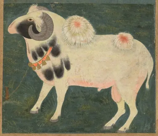 A royal ram with a gold chain, by Unknown, 1704