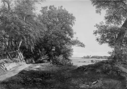 A Summer Morning beside the Deer Park Fence in Ordrup Spinney, North of Copenhagen, by Unknown