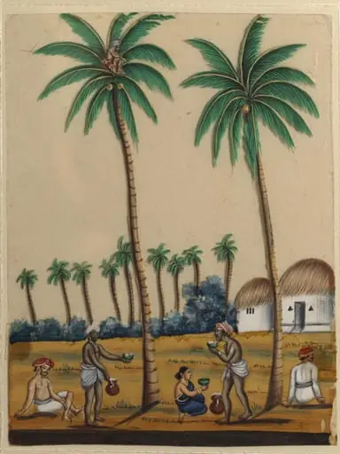 A toddy-tapper, by Unknown