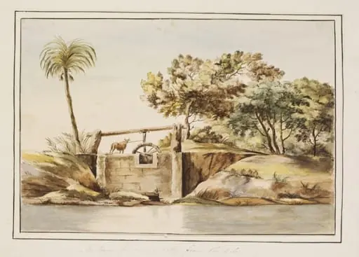 An Engine for raising Water from the Nile, by Unknown