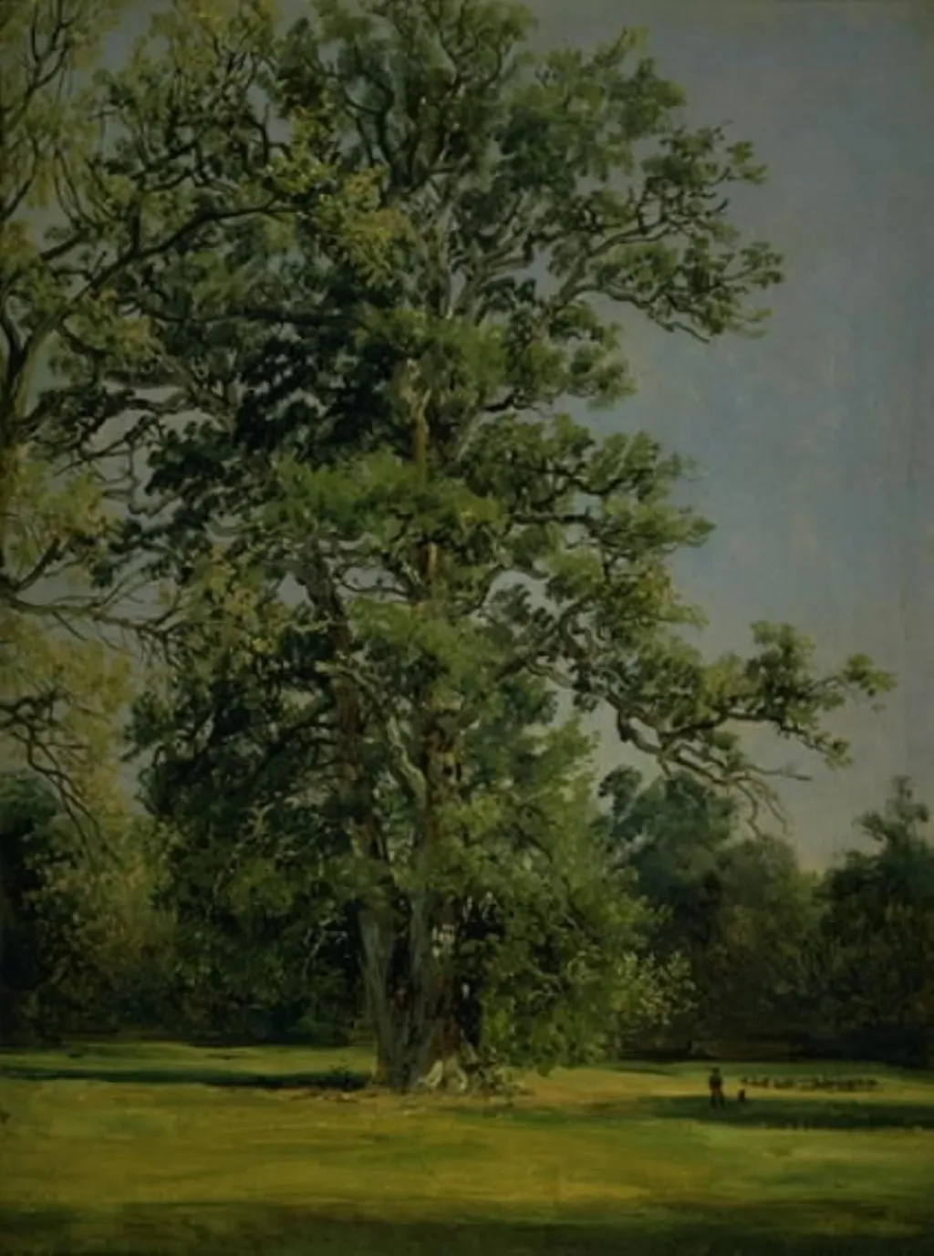 An Oak. View of the Garden at Wörlitz near Dessau, by Unknown, 1838