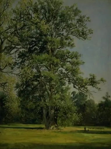 An Oak. View of the Garden at Wörlitz near Dessau, by Unknown