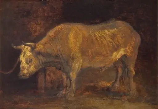 An Ox Standing, by Unknown