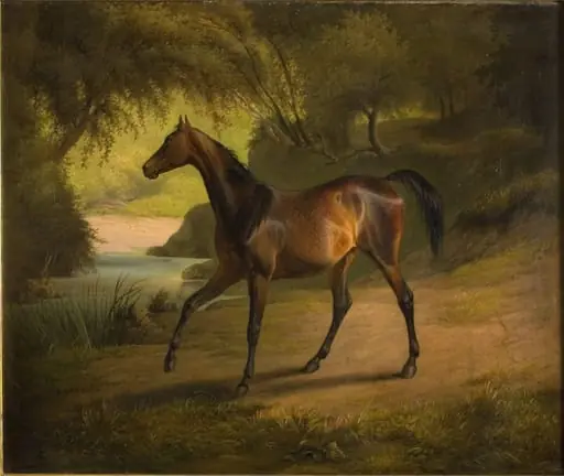Antonia, by Unknown