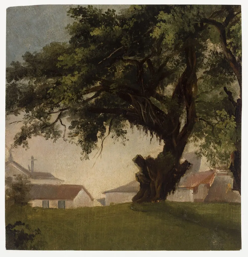 Arbres géants & Caserne, by Unknown