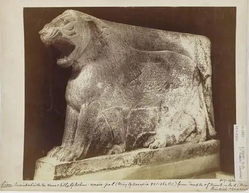 Assyrian sculpture of a lion inscribed with the name and titles of Ashur-nasir-pal (King of Assyria 885-860 B.C.) from the Temple of Nirib, Calah, by Unknown