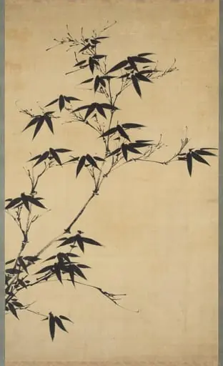 Bamboo, by Unknown, 1904