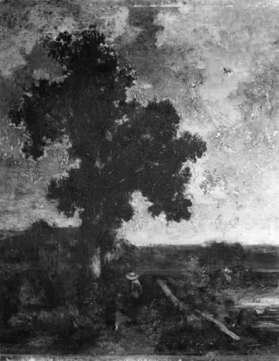Big Tree, by Unknown