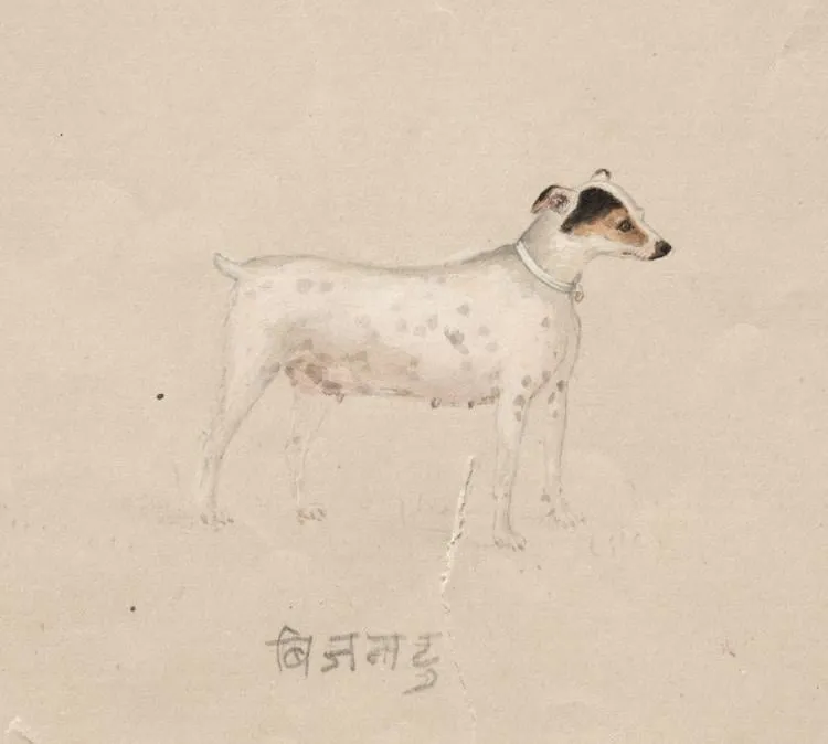 Bijantu, by Unknown, 1894