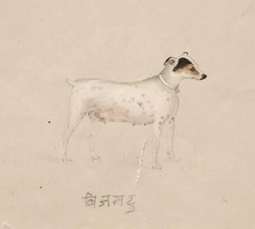 Bijantu, by Unknown