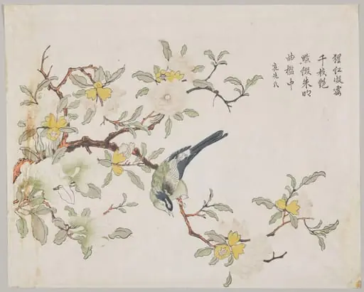 Bird on Pomegranate, by Unknown